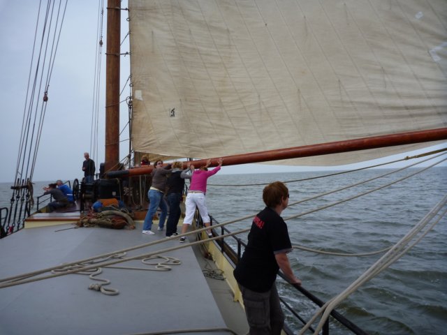 2011 Zeilen036.jpg
